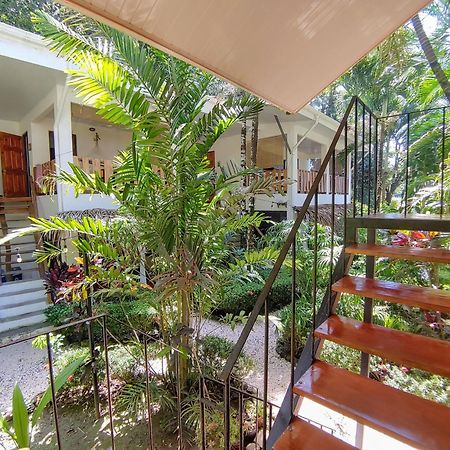 Colibri Apartments - 4 Min Walk To The Beach! Playa Santa Teresa  外观 照片