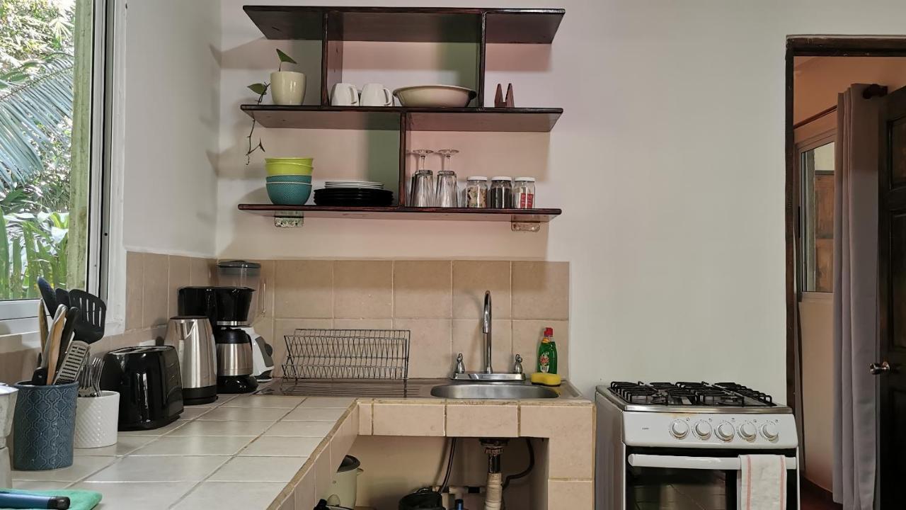 Colibri Apartments - 4 Min Walk To The Beach! Playa Santa Teresa  外观 照片