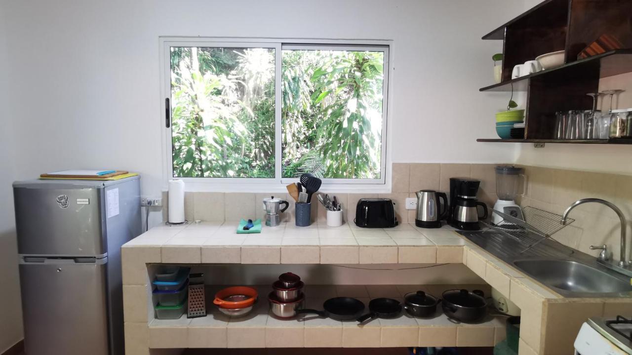 Colibri Apartments - 4 Min Walk To The Beach! Playa Santa Teresa  外观 照片