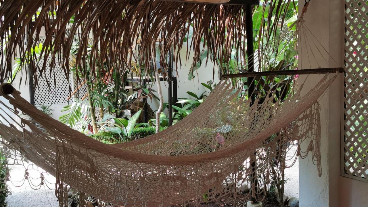 Colibri Apartments - 4 Min Walk To The Beach! Playa Santa Teresa  外观 照片