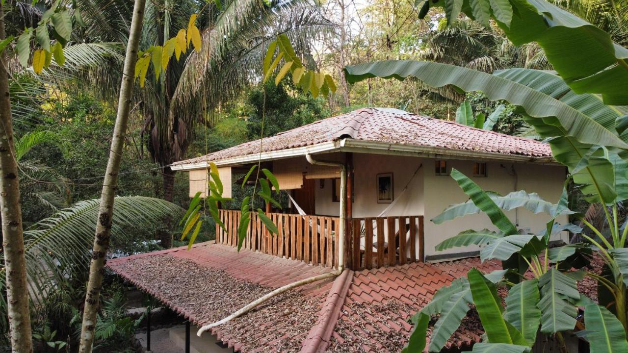 Colibri Apartments - 4 Min Walk To The Beach! Playa Santa Teresa  外观 照片