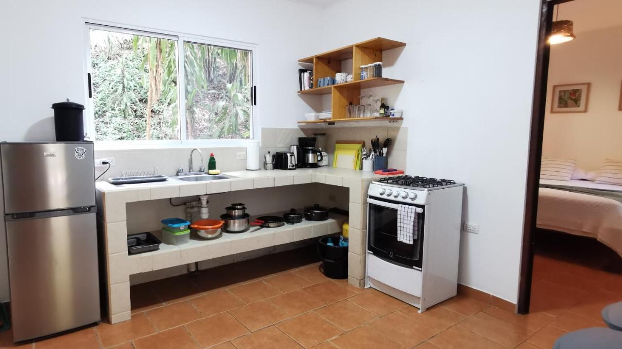 Colibri Apartments - 4 Min Walk To The Beach! Playa Santa Teresa  外观 照片