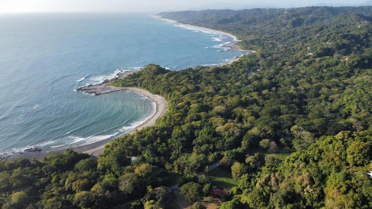 Colibri Apartments - 4 Min Walk To The Beach! Playa Santa Teresa  外观 照片
