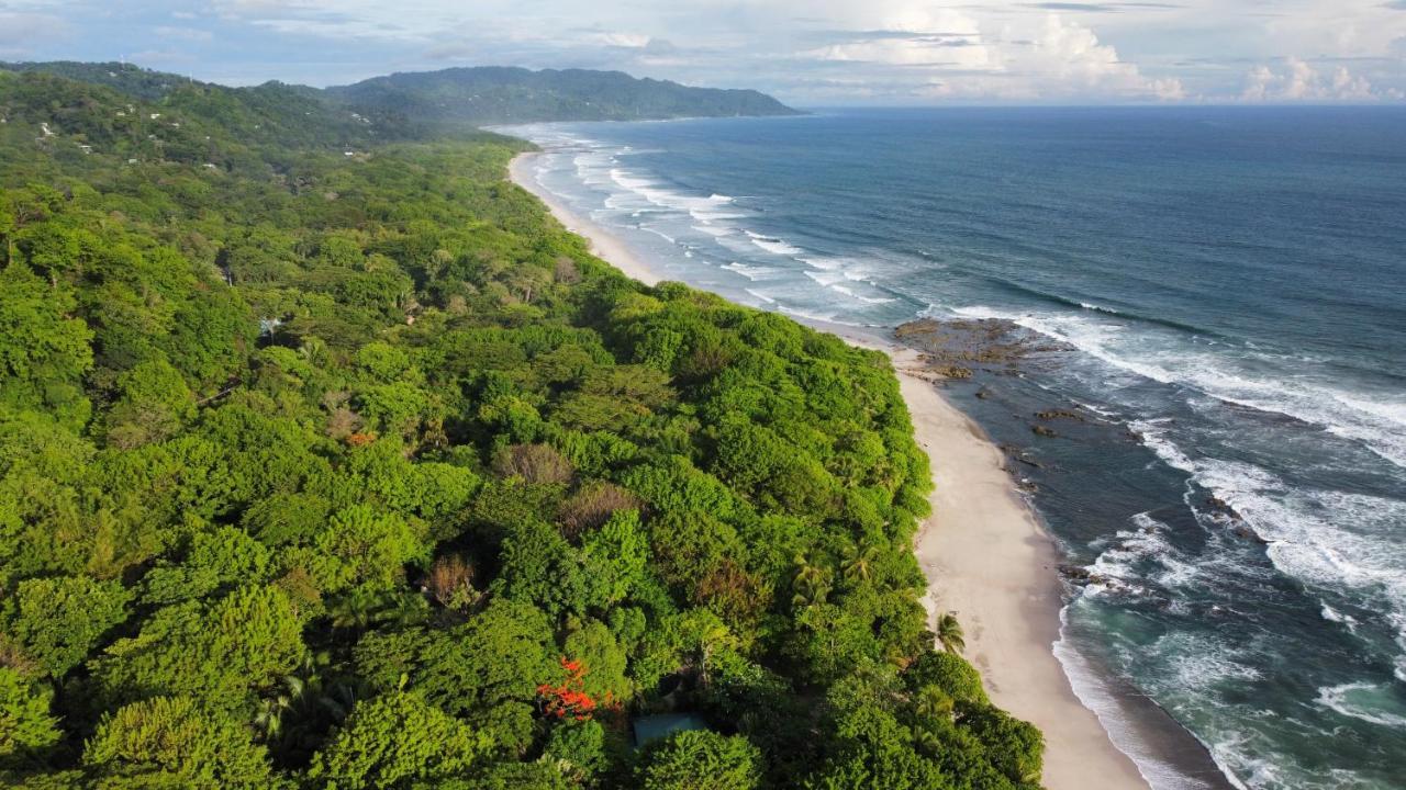 Colibri Apartments - 4 Min Walk To The Beach! Playa Santa Teresa  外观 照片