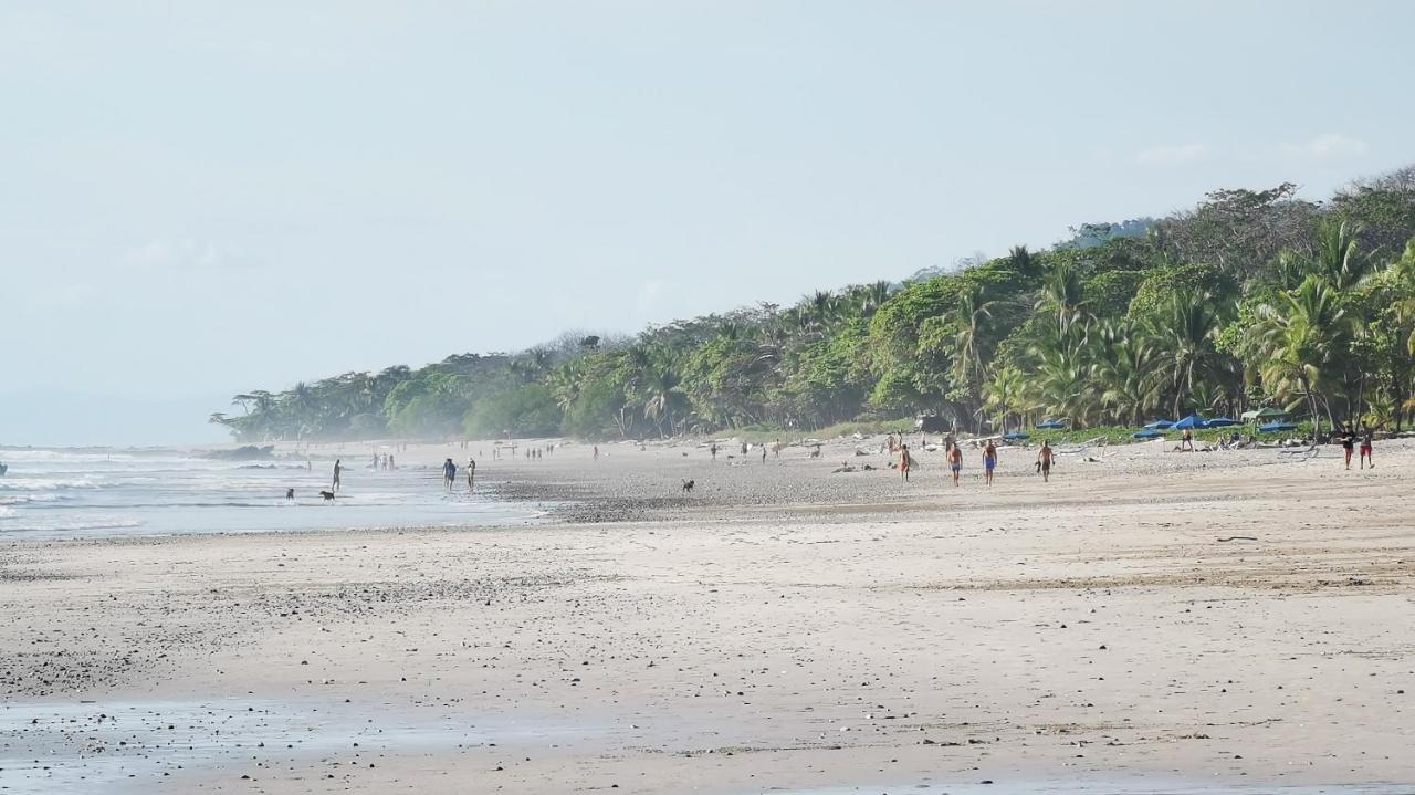 Colibri Apartments - 4 Min Walk To The Beach! Playa Santa Teresa  外观 照片