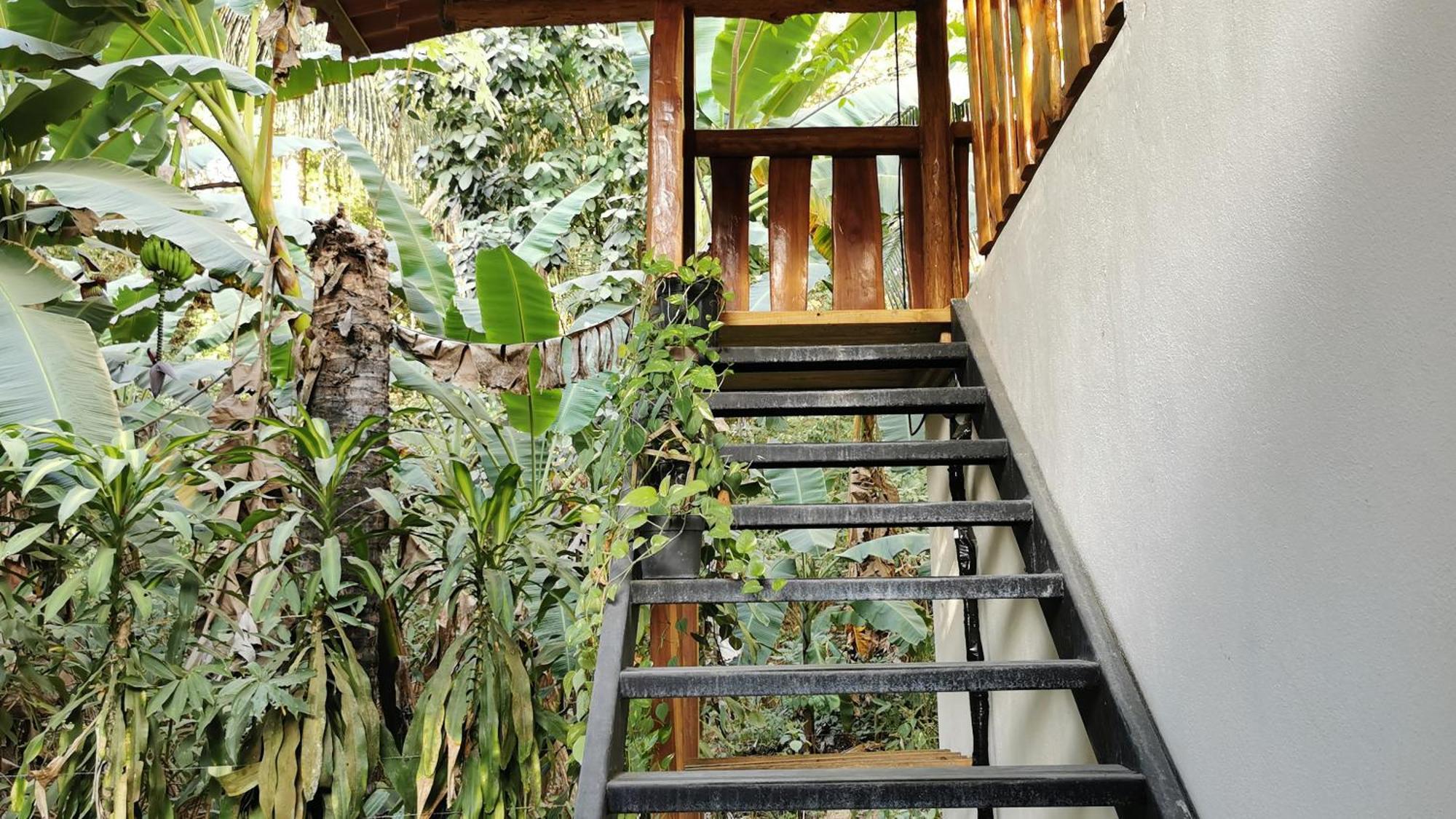 Colibri Apartments - 4 Min Walk To The Beach! Playa Santa Teresa  客房 照片