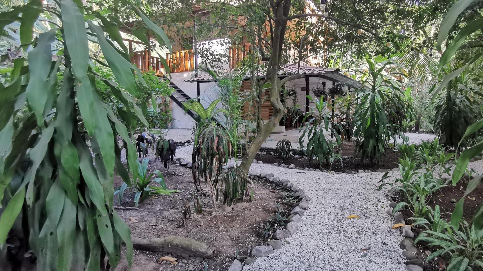 Colibri Apartments - 4 Min Walk To The Beach! Playa Santa Teresa  客房 照片