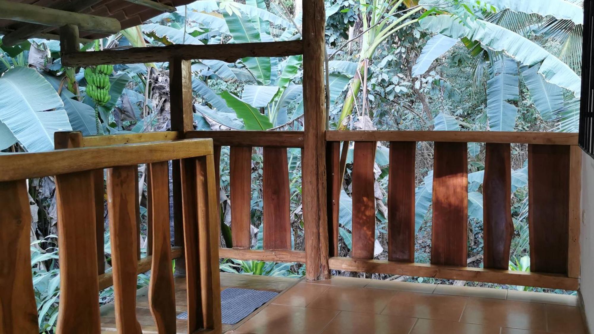 Colibri Apartments - 4 Min Walk To The Beach! Playa Santa Teresa  客房 照片