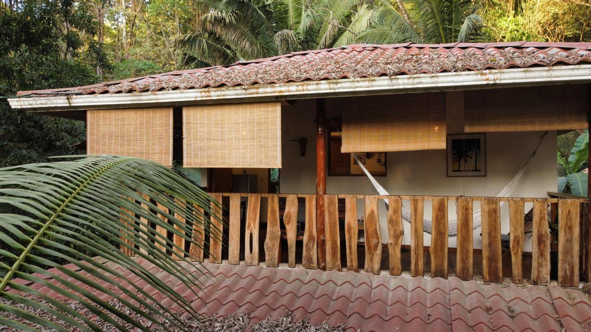 Colibri Apartments - 4 Min Walk To The Beach! Playa Santa Teresa  客房 照片