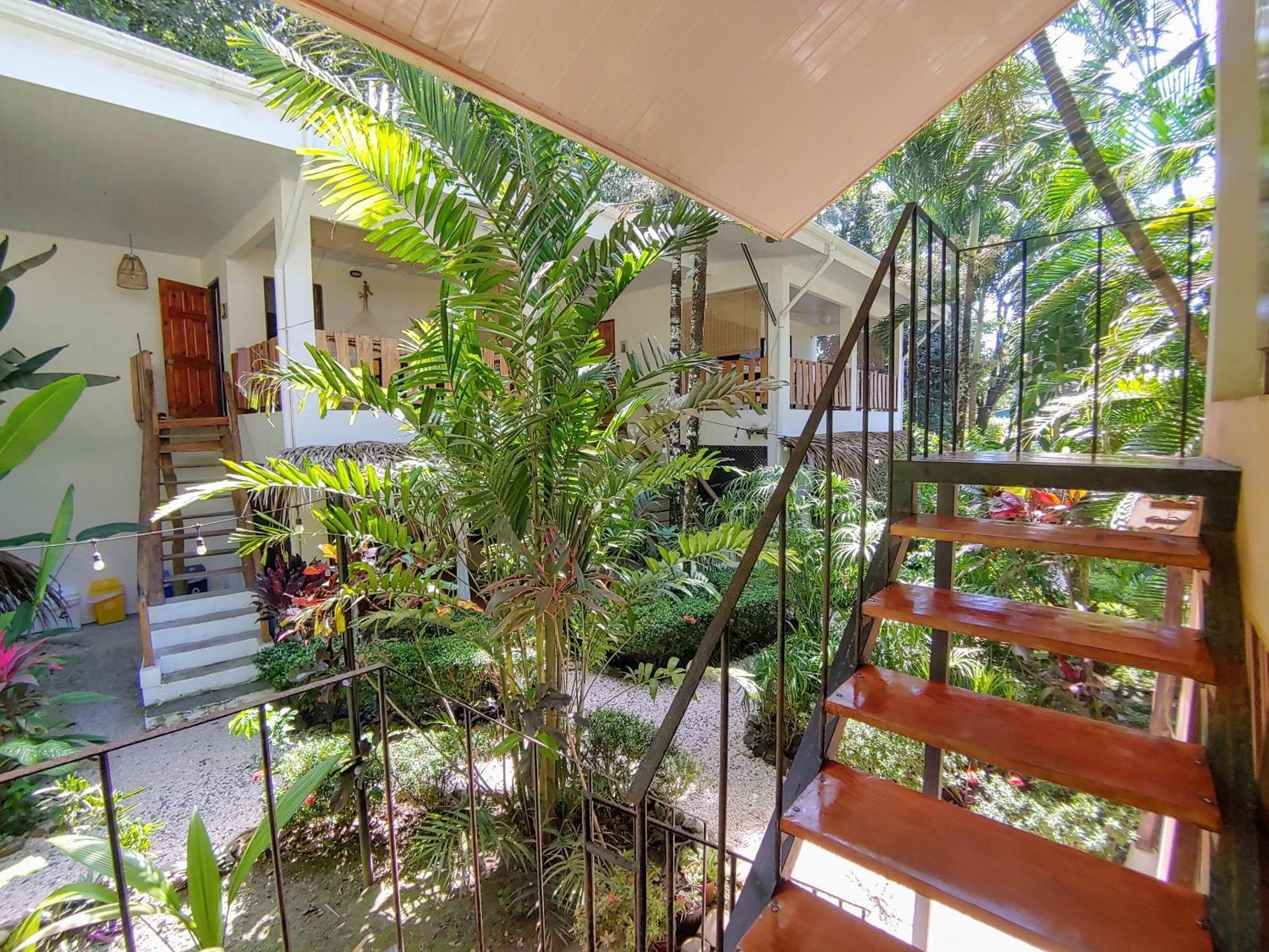 Colibri Apartments - 4 Min Walk To The Beach! Playa Santa Teresa  外观 照片